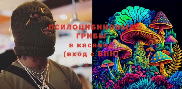 сатива Краснослободск