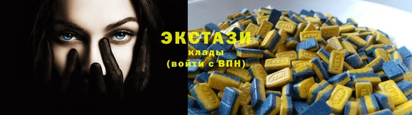 сатива Кулебаки