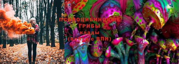 сатива Краснослободск