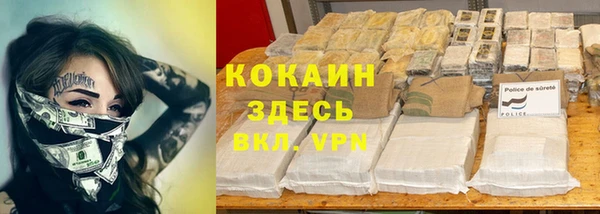 сатива Краснослободск