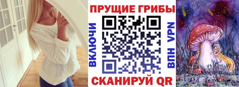 Псилоцибиновые грибы Cubensis  Мамадыш 