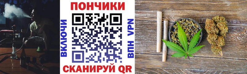 купить наркоту  Мамадыш  Бошки марихуана марихуана 
